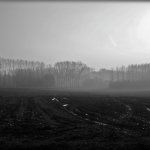 image nederhasselt-jpg